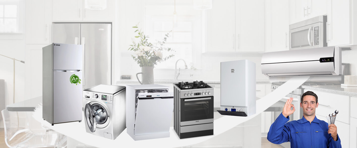 Esenler Electrolux Servisi